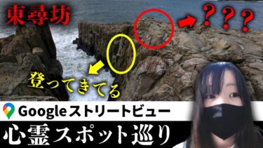 【七四六家】霊が視える人と一緒に自●の名所「東尋坊」を見たら、想像と全然違う霊たちで溢れていた【ストビュー心スポ巡り】