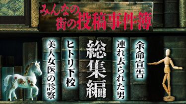 【フシギミステリー倶楽部】【衝撃事件】１人の小学生を狙った愚行｡すれ違う人はなぜ気づかないのか…不治の病から命を救った美人女医｡その驚くべき診察方法とは！？目の前で連れ去られた男｡【ナナフシギ】【作業用】【睡眠用】