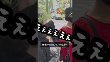 【七四六家】柳の下にいる悪霊になりたい幽霊に「怖くない」とツッコんでみた結果【浮遊霊インタビュー】