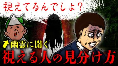 【七四六家】幽霊に「視える人ってどうやって分かるの？」って聞いてみたら、霊たちの涙ぐましい努力を知れた…【心霊】