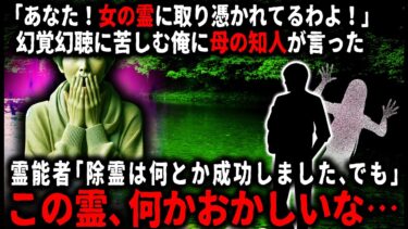 【ゆっくりシルエット】【怖い話】「なんで君に憑いたんだろう」女霊に憑かれた俺。母の知人の助けを借りて何とか除霊したのだが…【ゆっくり】