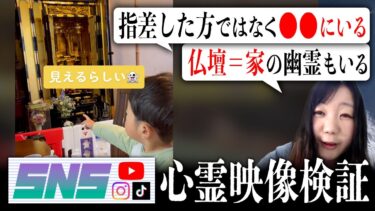 【七四六家】霊が視える人と一緒に子供が仏壇を指差して「覗いてる」と言う映像を見たら、幽霊の生態系についてまた一つ興味深いことが分かった【SNS心霊映像検証】