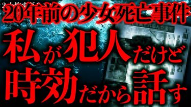 【進化したまーくん】【マジで怖い話まとめ145】20年前に起きたある事件の”ガチ犯人”が2chに登場→スレが戦慄してしまう…【2ch怖いスレ】【ゆっくり解説】