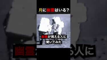 【七四六家】月面に幽霊はいるのか、幽霊が視える人に聞いたところ、まさかの置いていかれた幽霊がいた【SNS心霊映像検証】