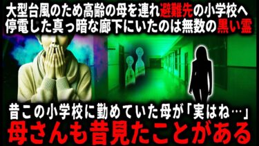 【ゆっくりシルエット】【怖い話】台風が接近し危険なので小学校へ避難…そこで黒い霊を目撃してしまい、母に伝えたら意外な答えが返ってきて…【ゆっくり】