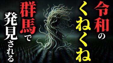 【ゆっくりオカルトQ】【怖い話】[最新の目撃情報] 群馬の〇〇に『くねくね』出現…被害者も出ている模様…2chの怖い話「白いおじさん・あしきりえん・とあるホテルの13号棟・事故に遭った後の記憶」【ゆっくり怪談】