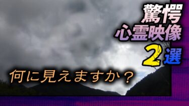 【ホラーチャンネル】【投稿】驚愕心霊映像2選！何に見えますか？