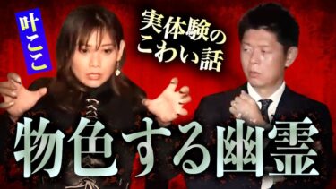 【島田秀平のお怪談巡り】【怪談だけお怪談】物色する幽霊/霊にのり移られる生活【魔女占い師 叶ここ】※切り抜き『島田秀平のお怪談巡り』