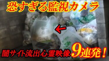 【ホラーチャンネル】【期間限定公開】恐すぎる監視カメラ　闇サイト流出心霊映像　9連発！