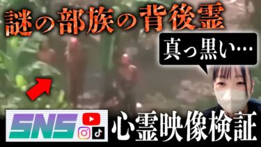 【七四六家】霊が視える人と一緒に、上陸したら●される「北センチネル島」の映像を見たら、べったりとした黒い人の影がいた…【SNS心霊映像検証】