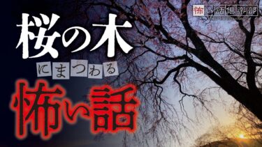 【怖い話倶楽部】【怖い話】桜の木の怖い話【怪談朗読】「八重桜」「桜が咲く頃」