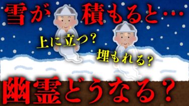 【七四六家】雪が積もったとき幽霊はどうなっているのか？【心霊】