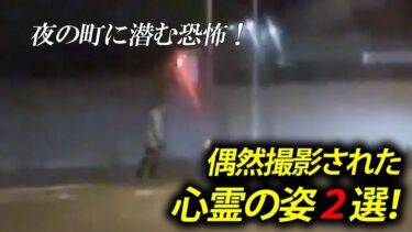 【ホラーチャンネル】【恐怖映像】夜の町に潜む恐怖！偶然撮影された心霊の姿２選！