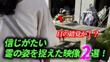 【ホラーチャンネル】【心霊映像】目の錯覚か…信じがたい霊の姿を捉えた映像２選！