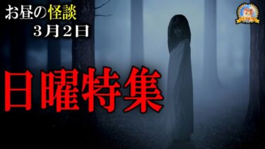 【怪談YouTuberルルナル】日曜特集【作業用BGM/怖い話】 お昼の怪談3月2日 【怪談,睡眠用,作業用,朗読つめあわせ,オカルト,ホラー,都市伝説】