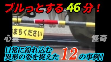 【ホラーチャンネル】【期間限定】ブルっとする46分！日常に紛れ込んだ異形を捉えた12の事例！