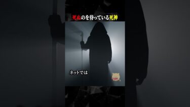 【ごまだんごの怪奇なチャンネル】死ぬのを待っている死神 #ホラー #horror