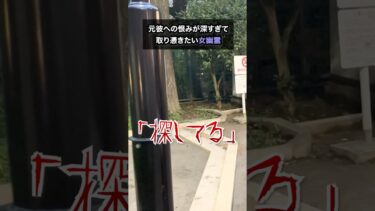 【七四六家】元彼に似た人に取り憑こうとしている女幽霊に話を聞いたら恋バナだった