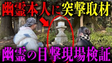 【七四六家】幽霊の目撃談が多数ある廃村「岳集落」で、霊が視える人と一緒に現地の幽霊に突撃インタビューを試みた【心霊】