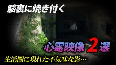 【ホラーチャンネル】【衝撃心霊】生活圏に現れた不気味な影…脳裏に焼き付く心霊映像2選！