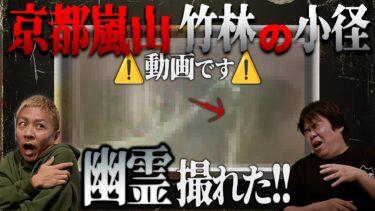 【ナナフシギ】※動画提供※京都嵐山 竹林の小径で幽霊撮れました⚠️明らかに人間ではない…【ナナフシギ】