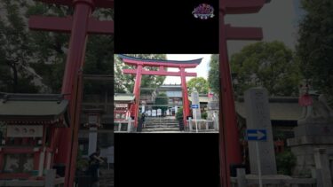 【ナナフシギ】※心霊写真※霊かはたまた…稲荷神社でこちらを覗く半面 #ナナフシギ #心霊写真 #稲荷神社