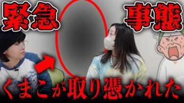 【七四六家】【緊急事態】くまこが取り憑かれました【心霊】