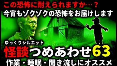 【ゆっくりシルエット】【怖い話】怖すぎてごめんなさい…怖い話つめあわせパート63【ゆっくり】