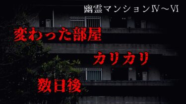 【ゆっくり怪談】【ゆっくりホラーオーディオドラマ/ゆっくり怪談】幽霊マンションⅣ、Ⅴ、Ⅵ　変わった部屋　カリカリと言う音で目が覚めた　数日後