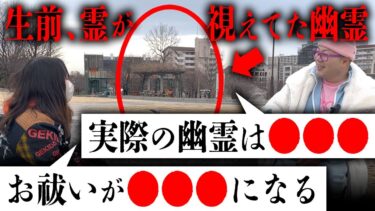 【七四六家】生前幽霊が視えていた霊に「実際に幽霊になってみてどう？」と聞いてみたら目から鱗だらけだった【心霊】