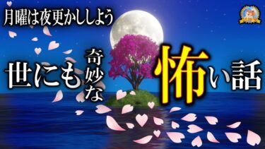 【怪談YouTuberルルナル】疲れた月曜は夜更かししよう 【睡眠導入/怖い話】 世にも奇妙な怖い話 【怪談,睡眠用,作業用,朗読つめあわせ,オカルト,ホラー,都市伝説】